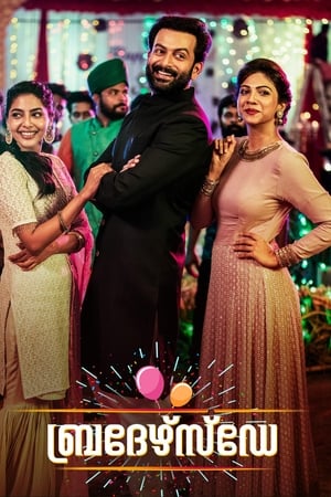 Brother’s Day (2019) (Hindi – Malayalam) Dual Audio – 480p