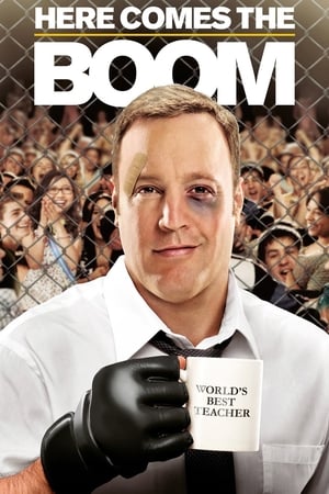 Here Comes the Boom 2012 Hindi Dual Audio – 480p