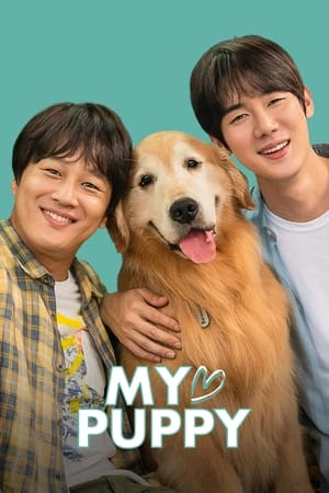 My love puppy (2022) Hindi Dual Audio – 480p