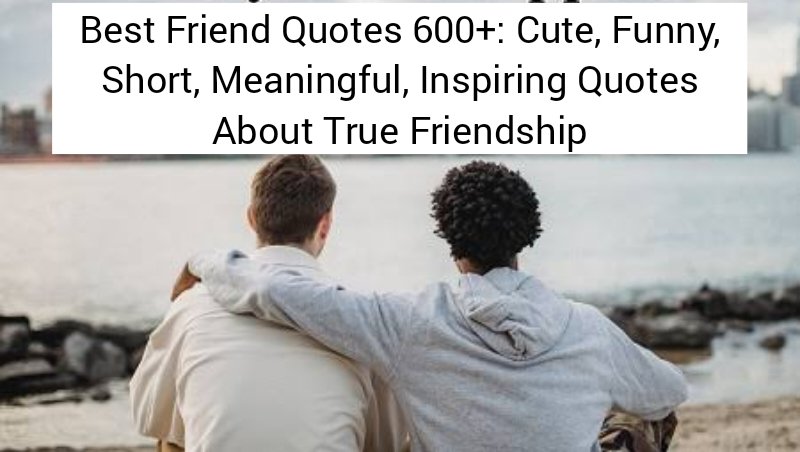 Best Friend Quotes 600+: Cute, Funny, Short, Meaningful, Inspiring Quotes About True Friendship