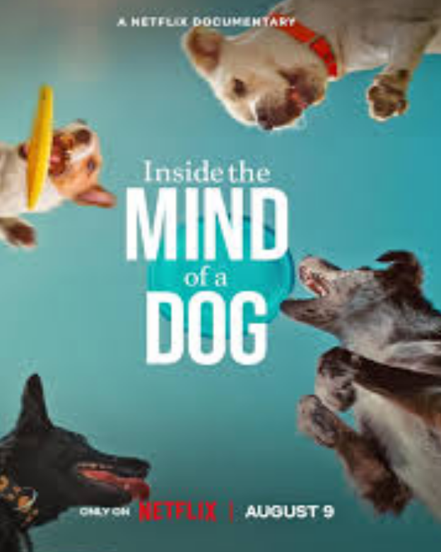 Inside the Mind of a Dog